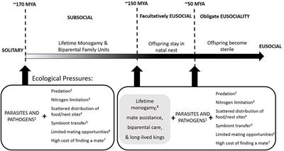 Pathogenic Dynamics During Colony Ontogeny Reinforce Potential Drivers of Termite Eusociality: Mate Assistance and Biparental Care